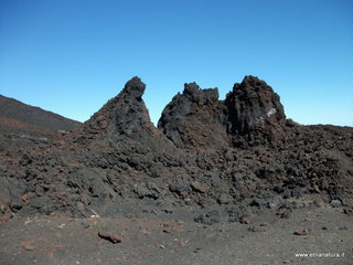 nte Pizzillo-21-10-2012 12-07-20